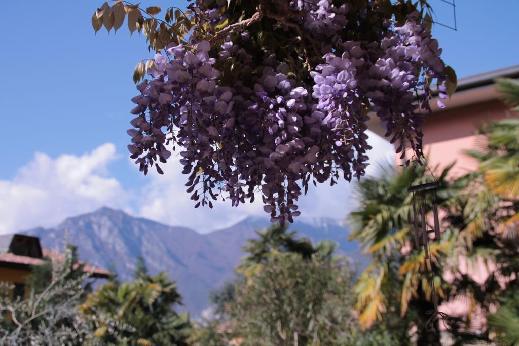 Casa Vacanze Claudette Arco Dış mekan fotoğraf